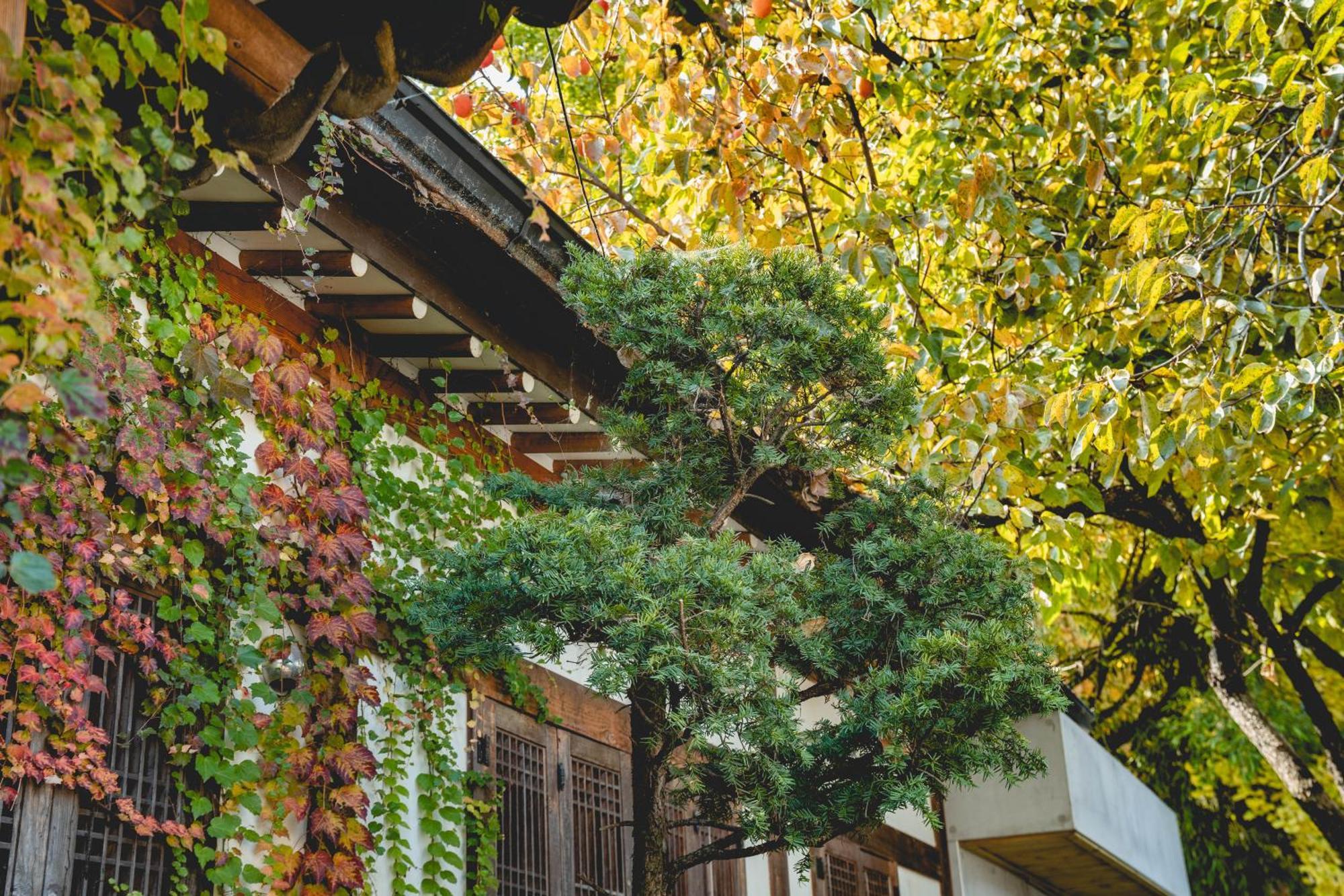 Hotelarrive Jeonju Sihwayeonpung Exteriér fotografie